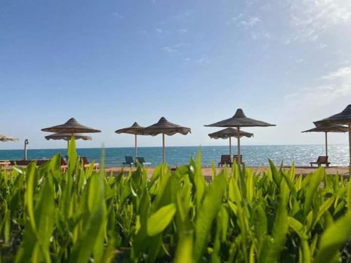 עיין סוחנה Fanar Hotel מראה חיצוני תמונה